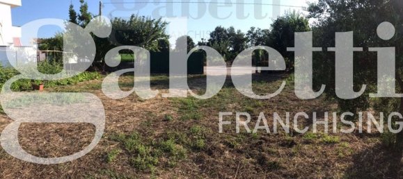 2 Schlafzimmer Villa in Cellole, Italy, Nr. 32905 4