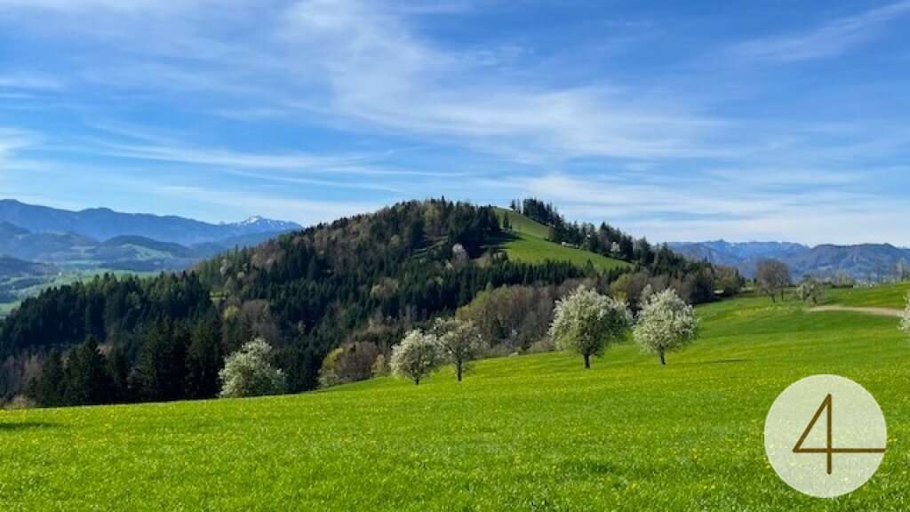 Grundstück in Randegg, Austria, Nr. 54018