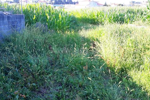 Terreno en Barcelos, Portugal No. 205217