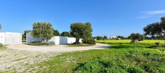 3 Schlafzimmer Villa in Monopoli, Italy, Nr. 58695 34