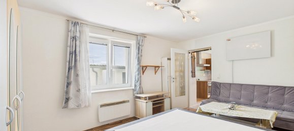 Studio in Ringelsdorf-Niederabsdorf, Austria No. 130515 10