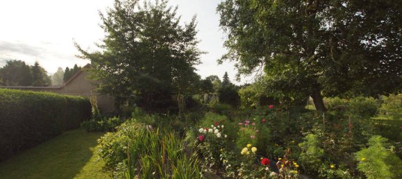 Terrain à Saalekreis, Germany No. 42876 7