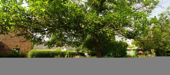 Terrain à Saalekreis, Germany No. 42876 3