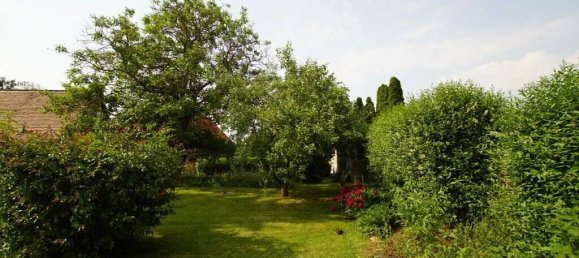 Terrain à Saalekreis, Germany No. 42876 2