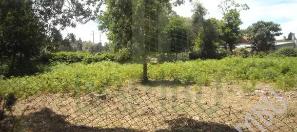 Land in Valenca, Portugal No. 56068 7