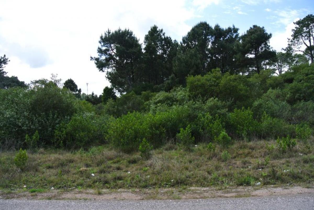  Land in Maldonado, Uruguay No. 15808