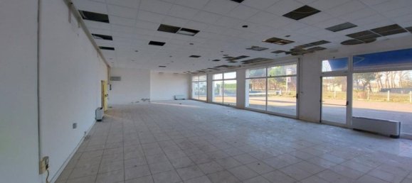 Lagerhaus in Codigoro, Italy 1339m², Nr. 376337 11