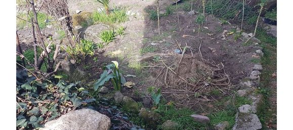 2 bedrooms House in Lindoso, Portugal No. 19729 5