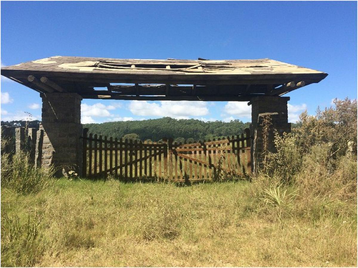  Farm in Maldonado, Uruguay No. 15337