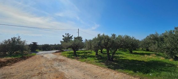 510m² Villa for sale in Ierapetra, Lasithi, Crete, Greece № 93751 6
