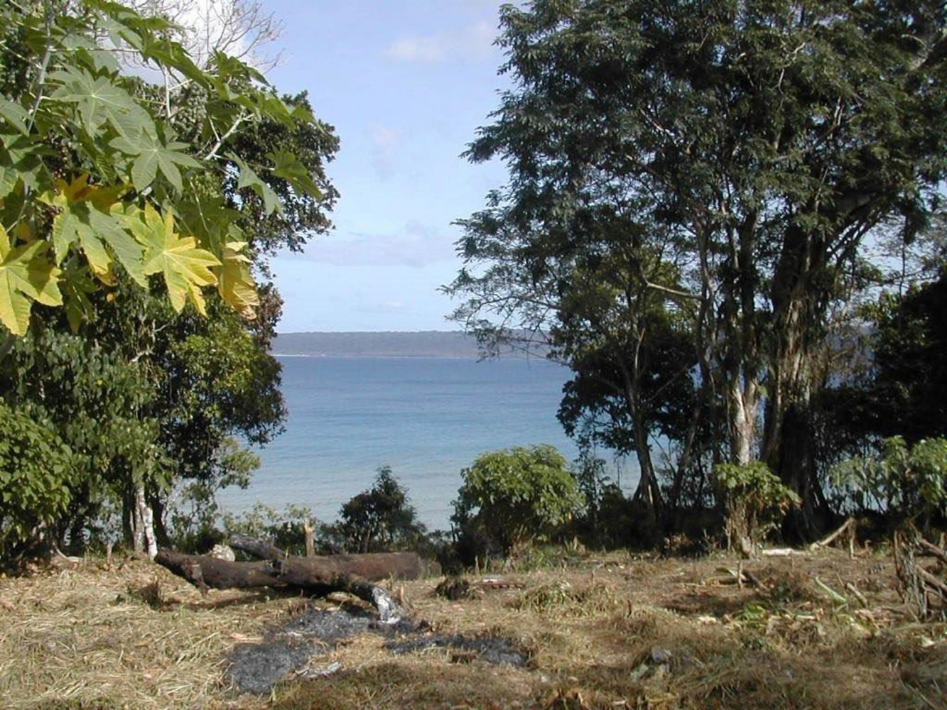 Terreno en Port-Vila, Vanuatu 1323 m² No. 127