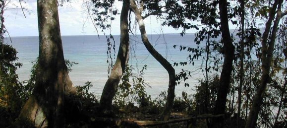 Terreno en Port-Vila, Vanuatu 1323 m² No. 127 3