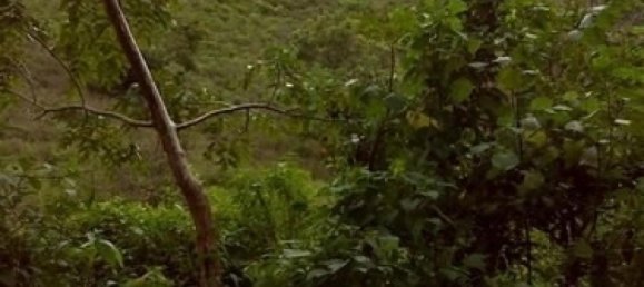  Land in Garabito, Costa Rica No. 1693 5