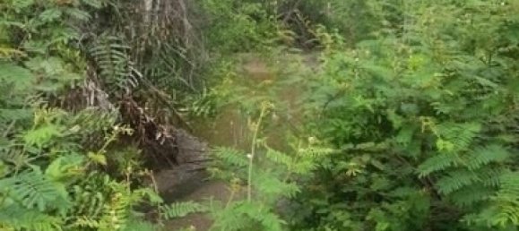  Land in Garabito, Costa Rica No. 1693 4