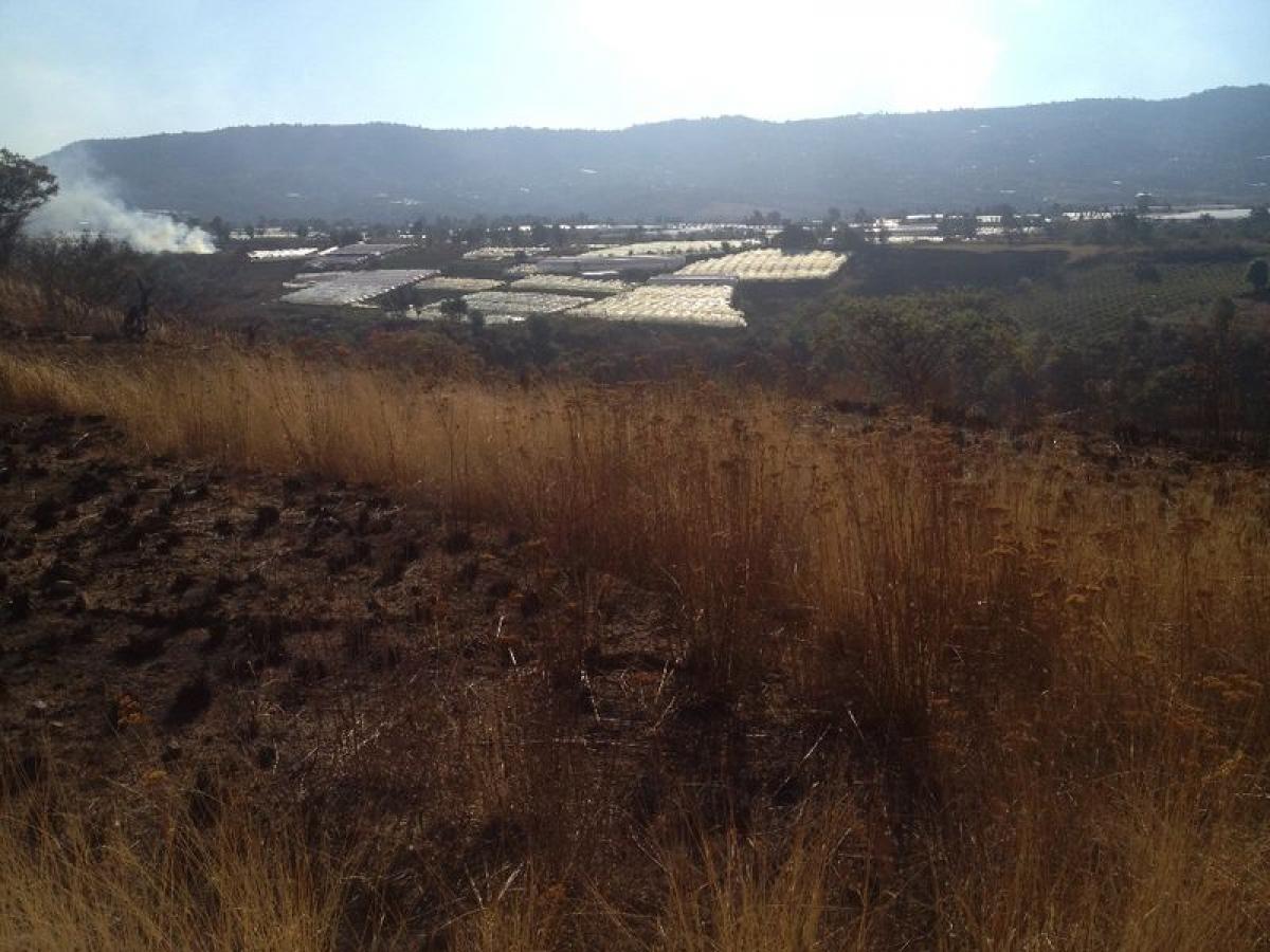 Terreno en Villa Guerrero, Mexico No. 204514
