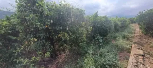 Grundstück in Alicante, Spain 2000m², Nr. 134878 2