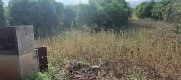 Grundstück in Alicante, Spain 2000m², Nr. 134878 6