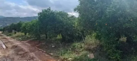 Grundstück in Alicante, Spain 2000m², Nr. 134878 7