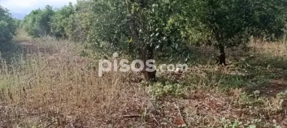 Grundstück in Alicante, Spain 2000m², Nr. 134878 5