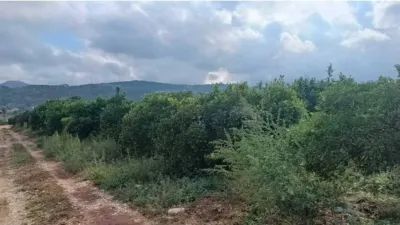 Grundstück in Alicante, Spain 2000m², Nr. 134878