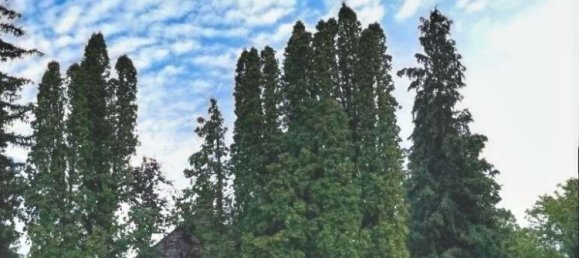 4-Zimmer Grundstück in Freising, Germany, Nr. 238839 17