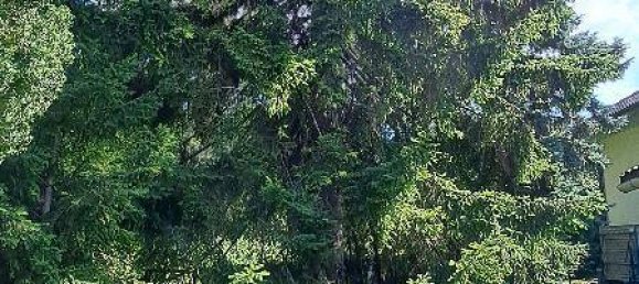  Land in Brunn am Gebirge, Austria No. 135383 3