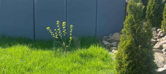 Adosado de 3 dormitorios en Deggendorf, Germany No. 111937 8