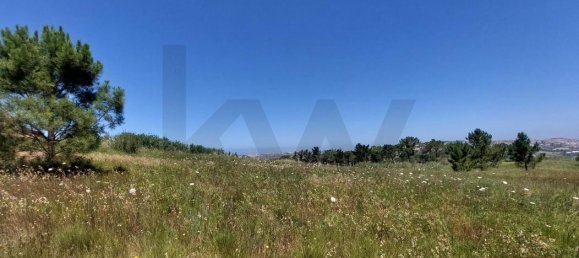 Grundstück in Mafra, Portugal 11062m², Nr. 254404 4