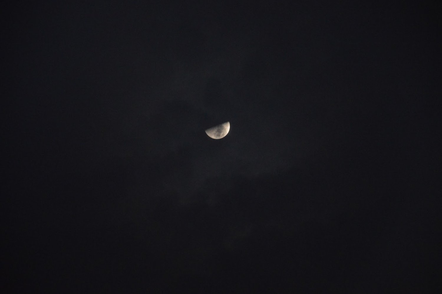 1 chambre Appartement à Abbeyard, Australia No. 1179