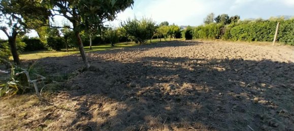 12 rooms Villa in San Giuliano Terme, Italy No. 156166 7