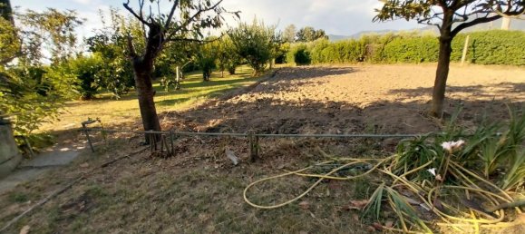 12 rooms Villa in San Giuliano Terme, Italy No. 156166 6