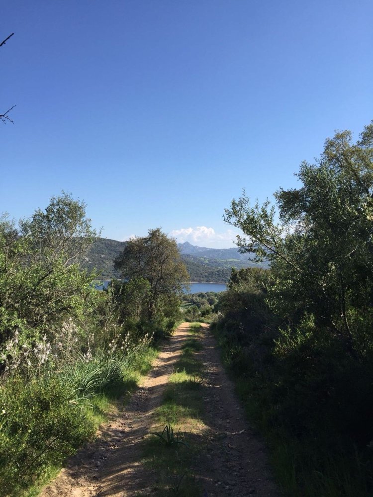 Terreno em Sant'Antonio di Gallura, Italy 250000 m² N.º 256288