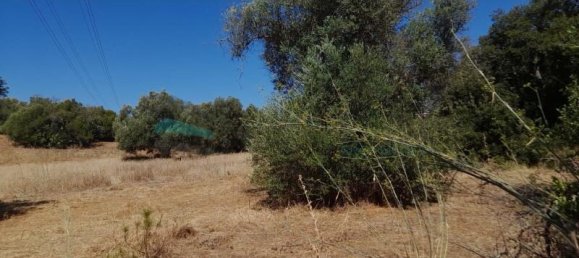 Grundstück in Ferreiras, Portugal 9860m², Nr. 261404 3