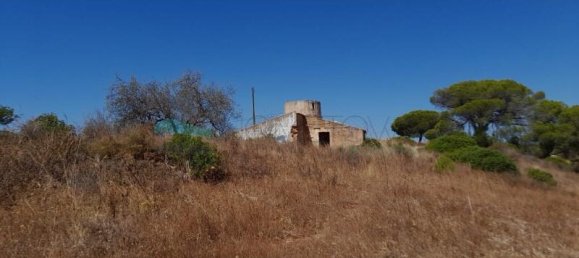 Grundstück in Ferreiras, Portugal 9860m², Nr. 261404 10