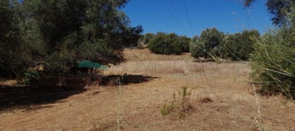 Grundstück in Ferreiras, Portugal 9860m², Nr. 261404 13