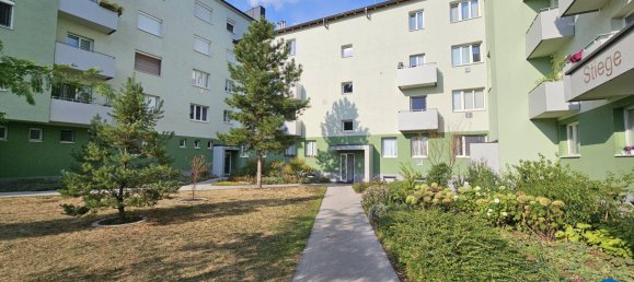 Квартира с 2 комнатами в Винер Нойштадт, Австрия № 100961 20