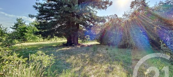 1763m² Land in Chabris, France No. 86336 5