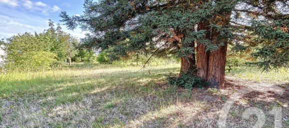 1763m² Land in Chabris, France No. 86336 2