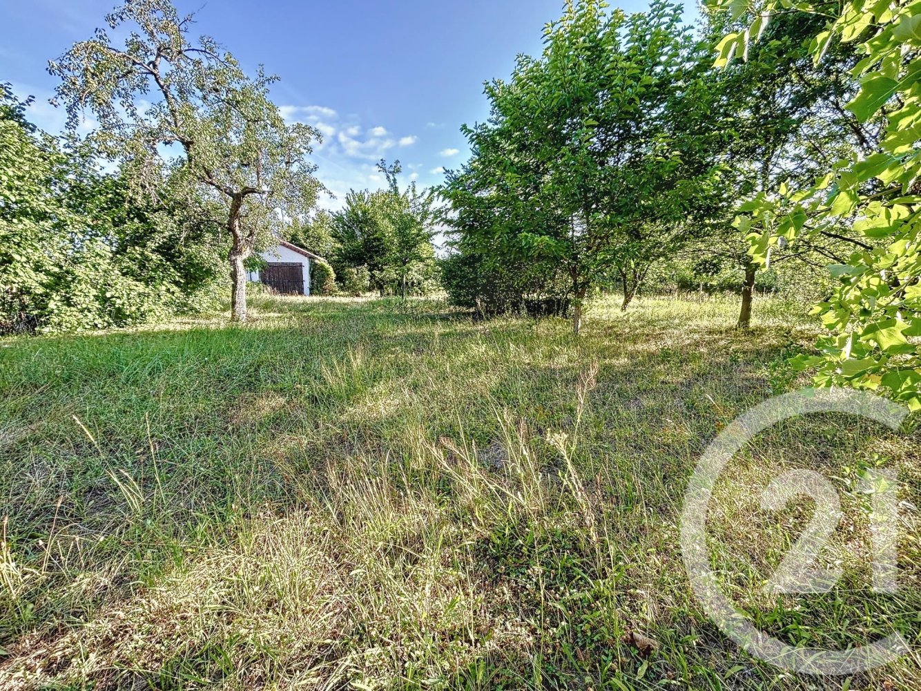 1763m² Land in Chabris, France No. 86336