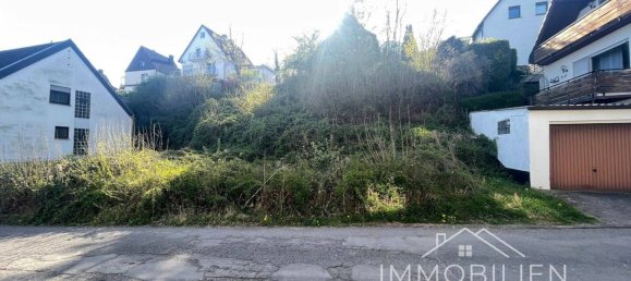 Земельный участок в Цвайбрюккен, Германия № 244472 2