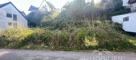 Земельный участок в Цвайбрюккен, Германия № 244472 5