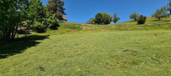 Terreno en Zwischenwasser, Austria No. 154339 5