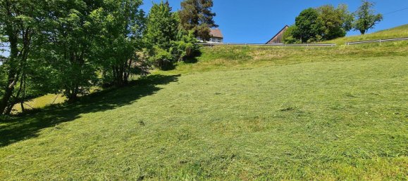 Terreno en Zwischenwasser, Austria No. 154339 2