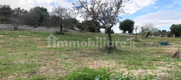 1 Schlafzimmer Villa in Monopoli, Italy, Nr. 369650 2