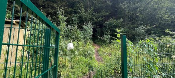 7 rooms House in Kainbach bei Graz, Austria No. 195614 9