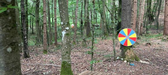 7 rooms House in Kainbach bei Graz, Austria No. 195614 12