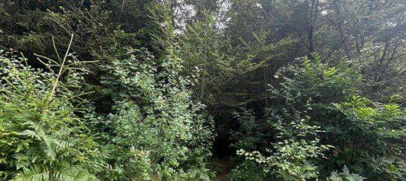 7 rooms House in Kainbach bei Graz, Austria No. 195614 10