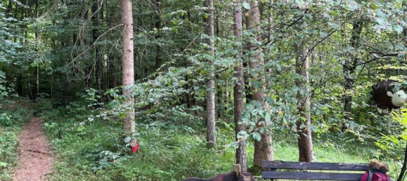 7 rooms House in Kainbach bei Graz, Austria No. 195614 11