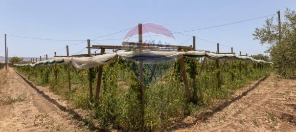 2 bedrooms Villa in Chiaramonte Gulfi, Italy No. 262790 50