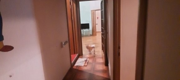 Oficina de 5 habitaciónes en Baku, Azerbaijan No. 1009 16